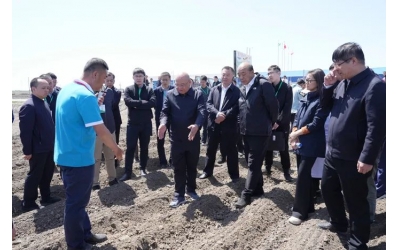 农业农村部部署2024年大豆大面积单产提升工作