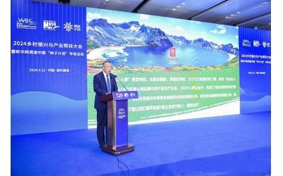 切实提升品牌影响力——吉林“长白山人参”走进“2024世界品牌莫干山大会”